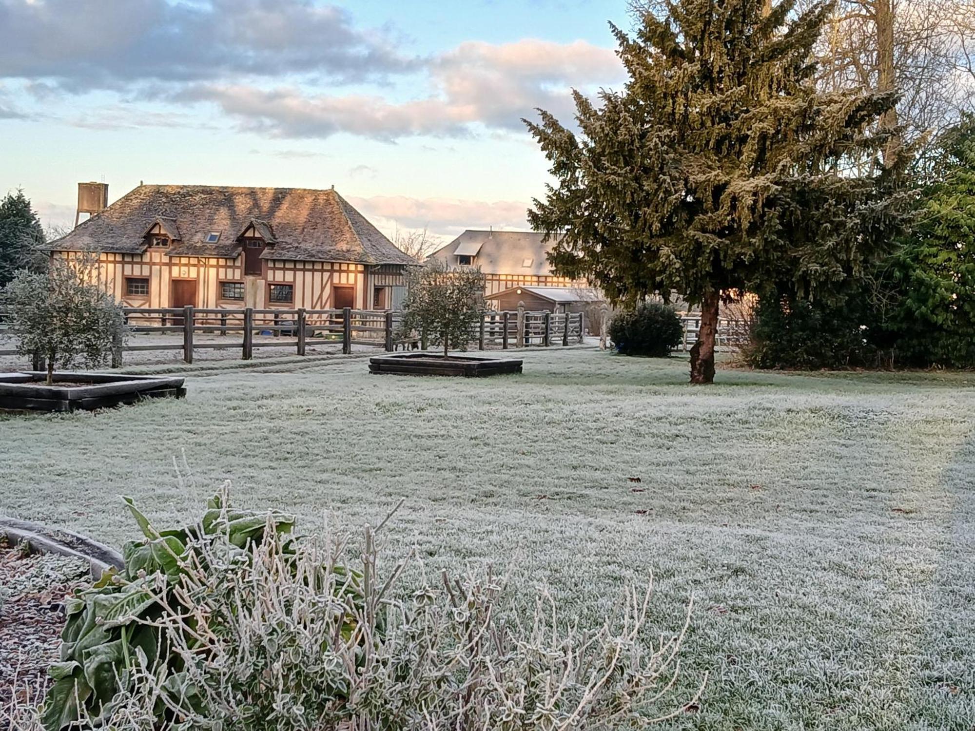 Domaine Des Ifs Bed and Breakfast Le Pin  Exteriör bild