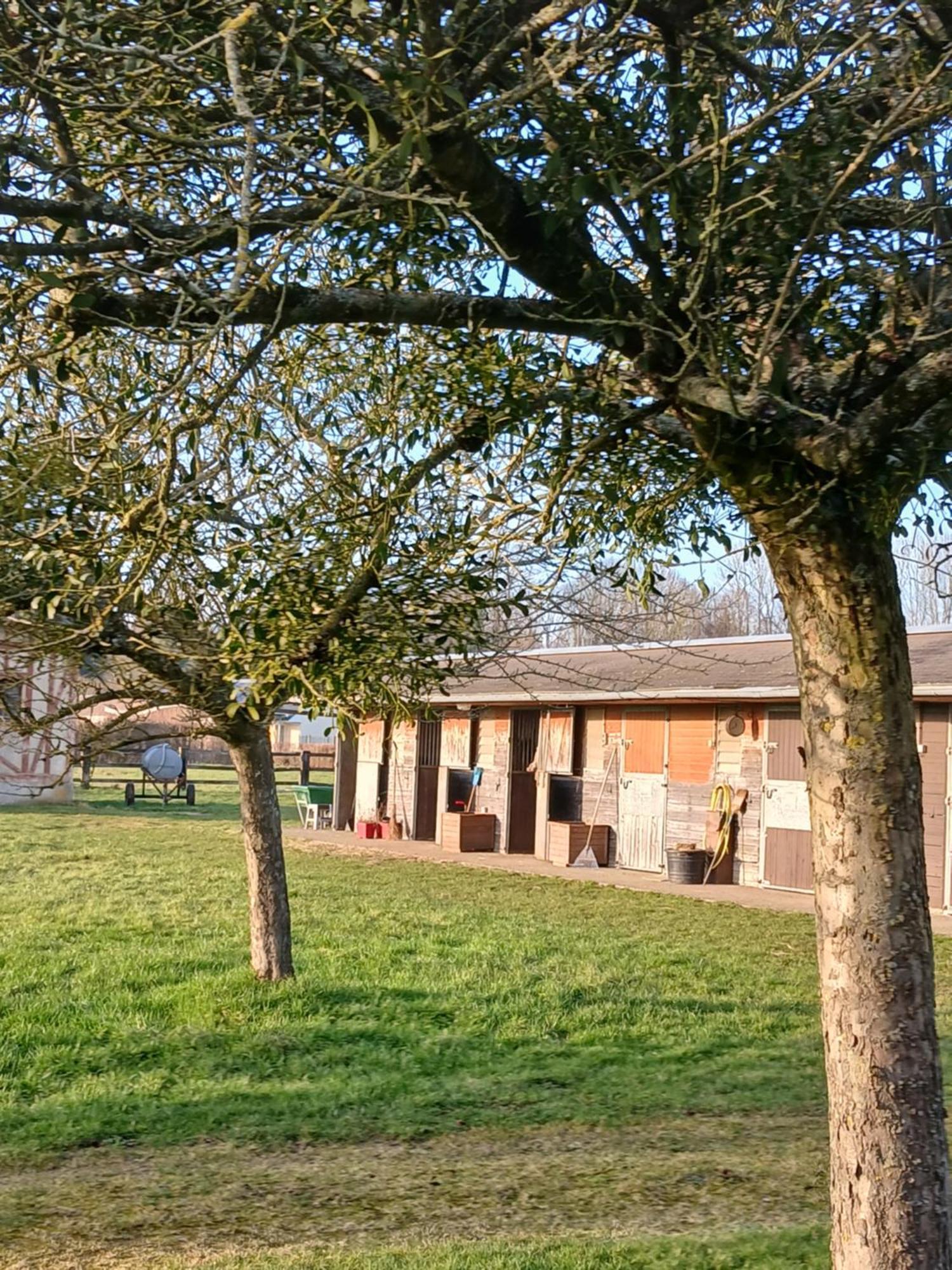 Domaine Des Ifs Bed and Breakfast Le Pin  Exteriör bild