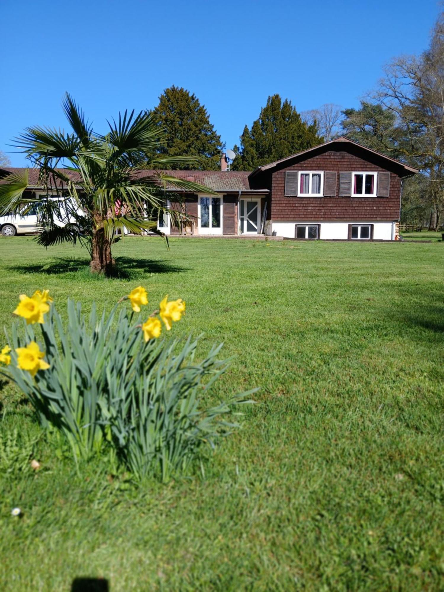 Domaine Des Ifs Bed and Breakfast Le Pin  Exteriör bild
