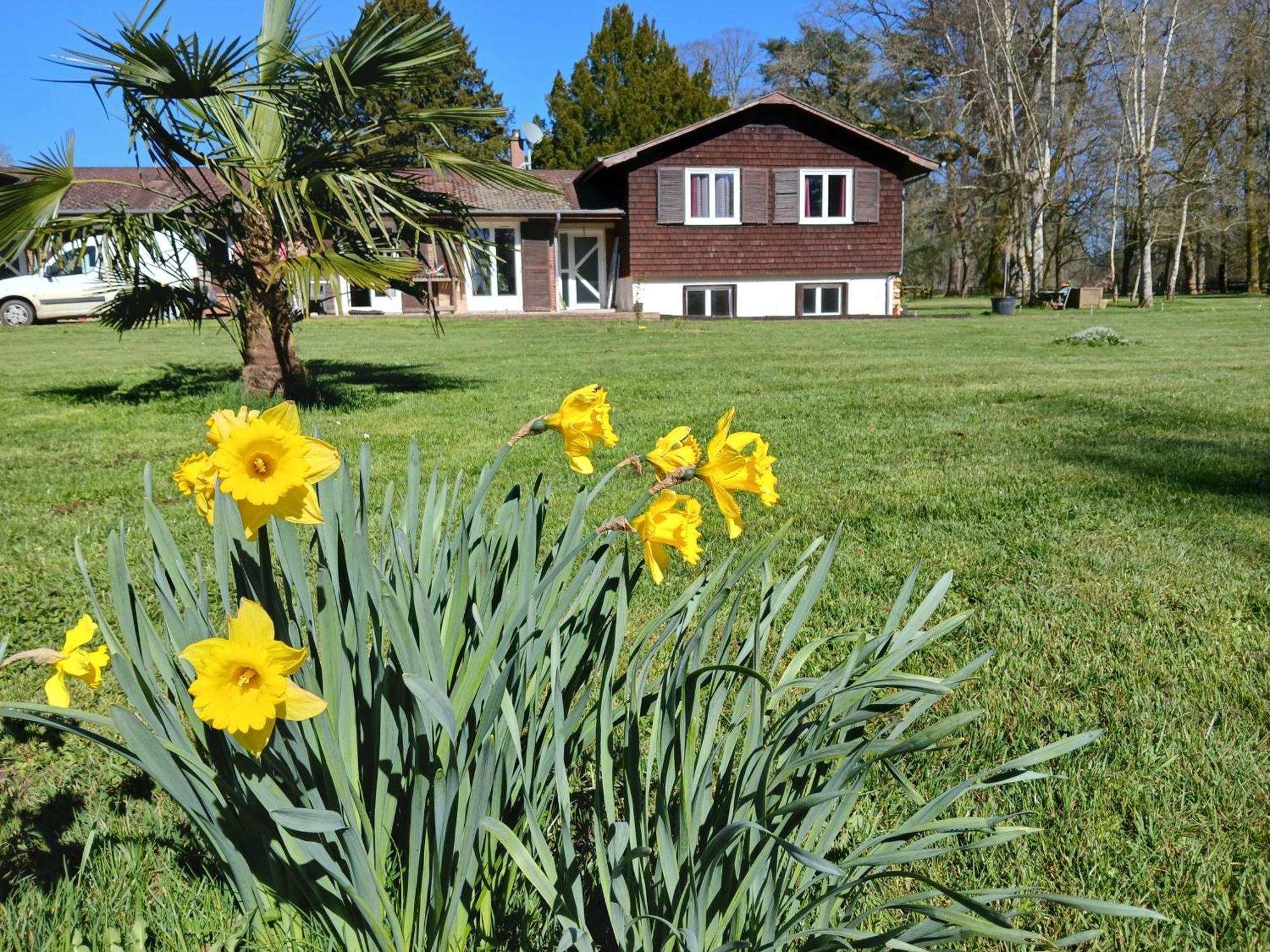 Domaine Des Ifs Bed and Breakfast Le Pin  Exteriör bild