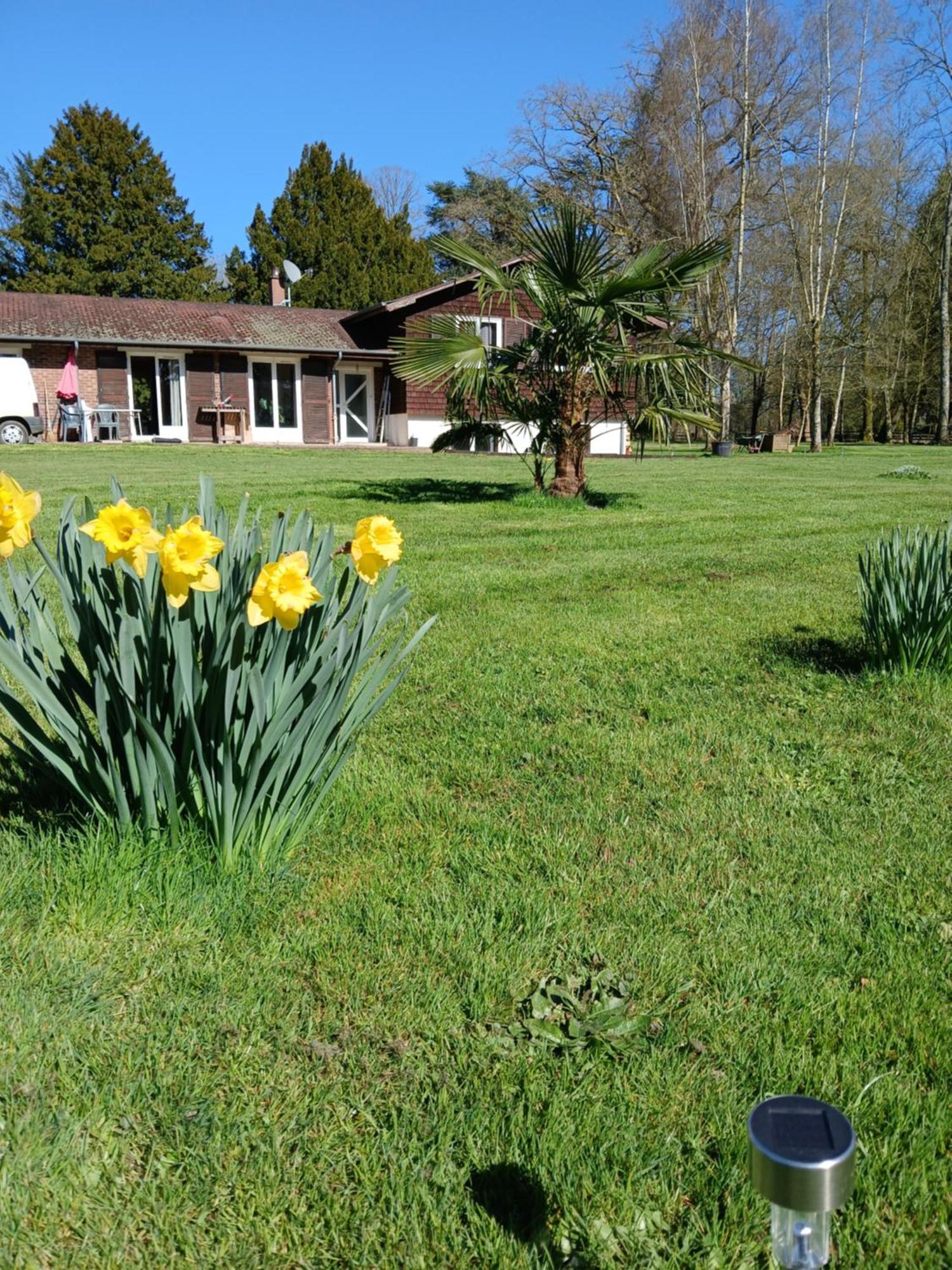 Domaine Des Ifs Bed and Breakfast Le Pin  Exteriör bild