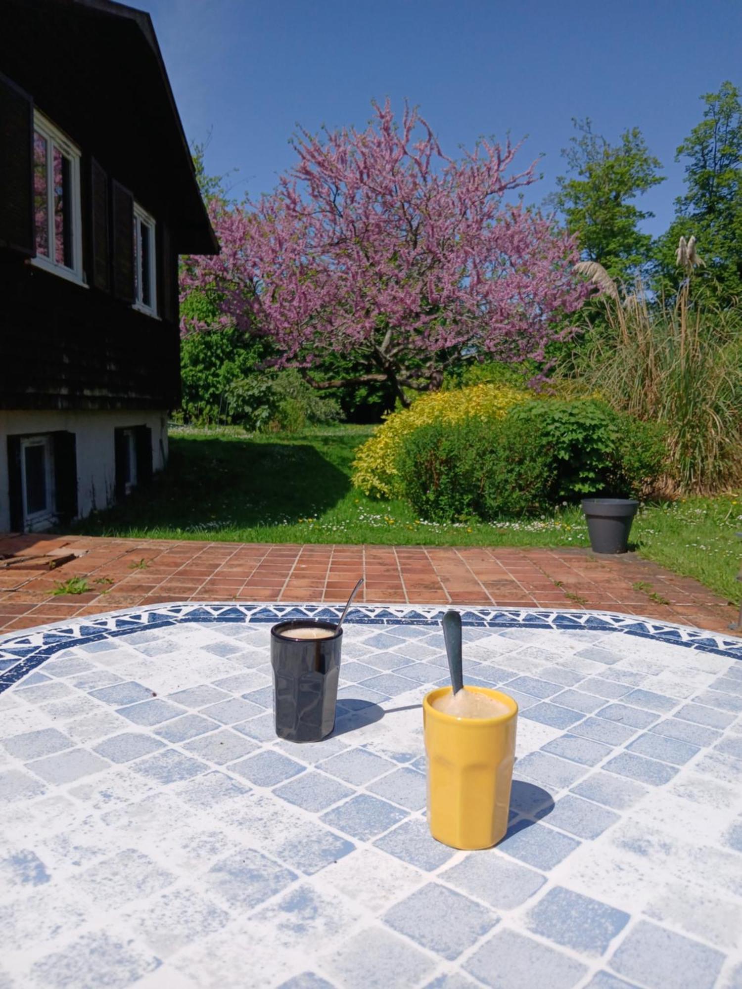 Domaine Des Ifs Bed and Breakfast Le Pin  Exteriör bild