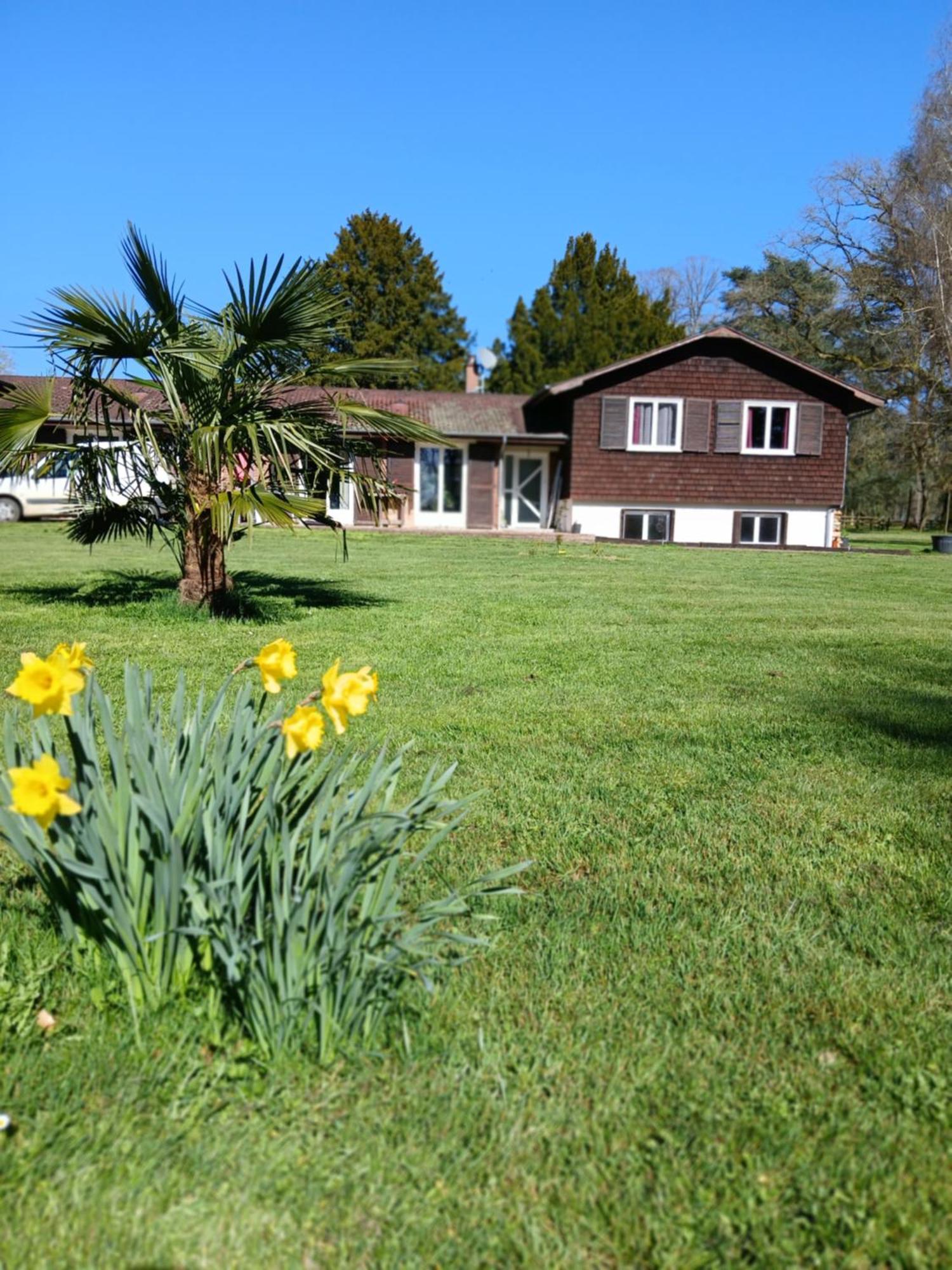 Domaine Des Ifs Bed and Breakfast Le Pin  Exteriör bild