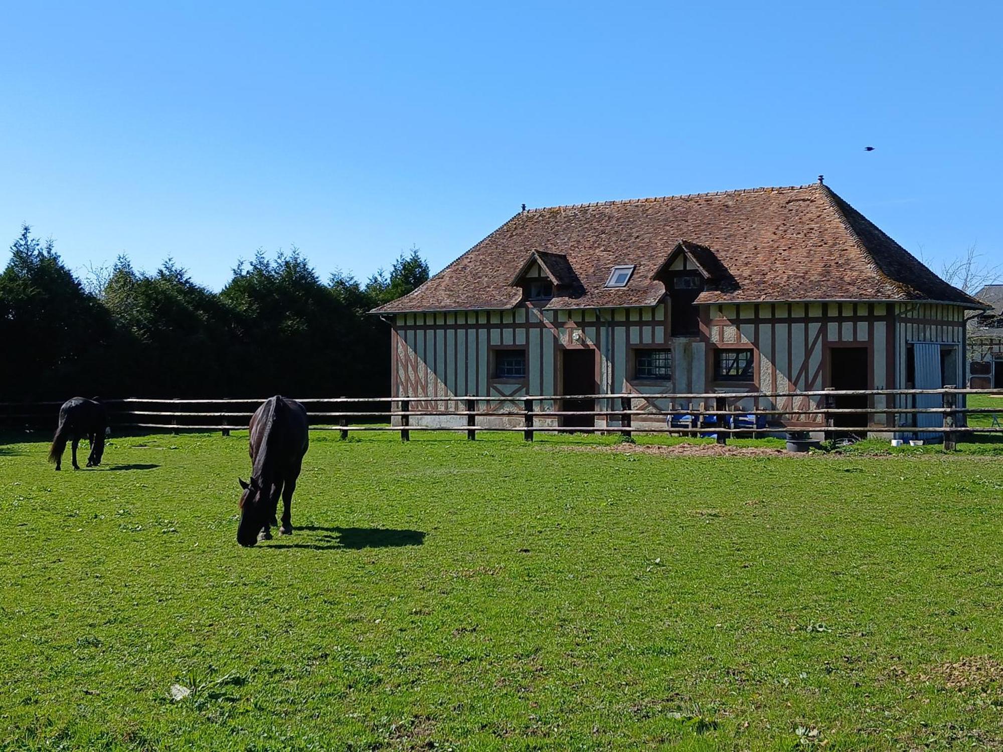 Domaine Des Ifs Bed and Breakfast Le Pin  Exteriör bild